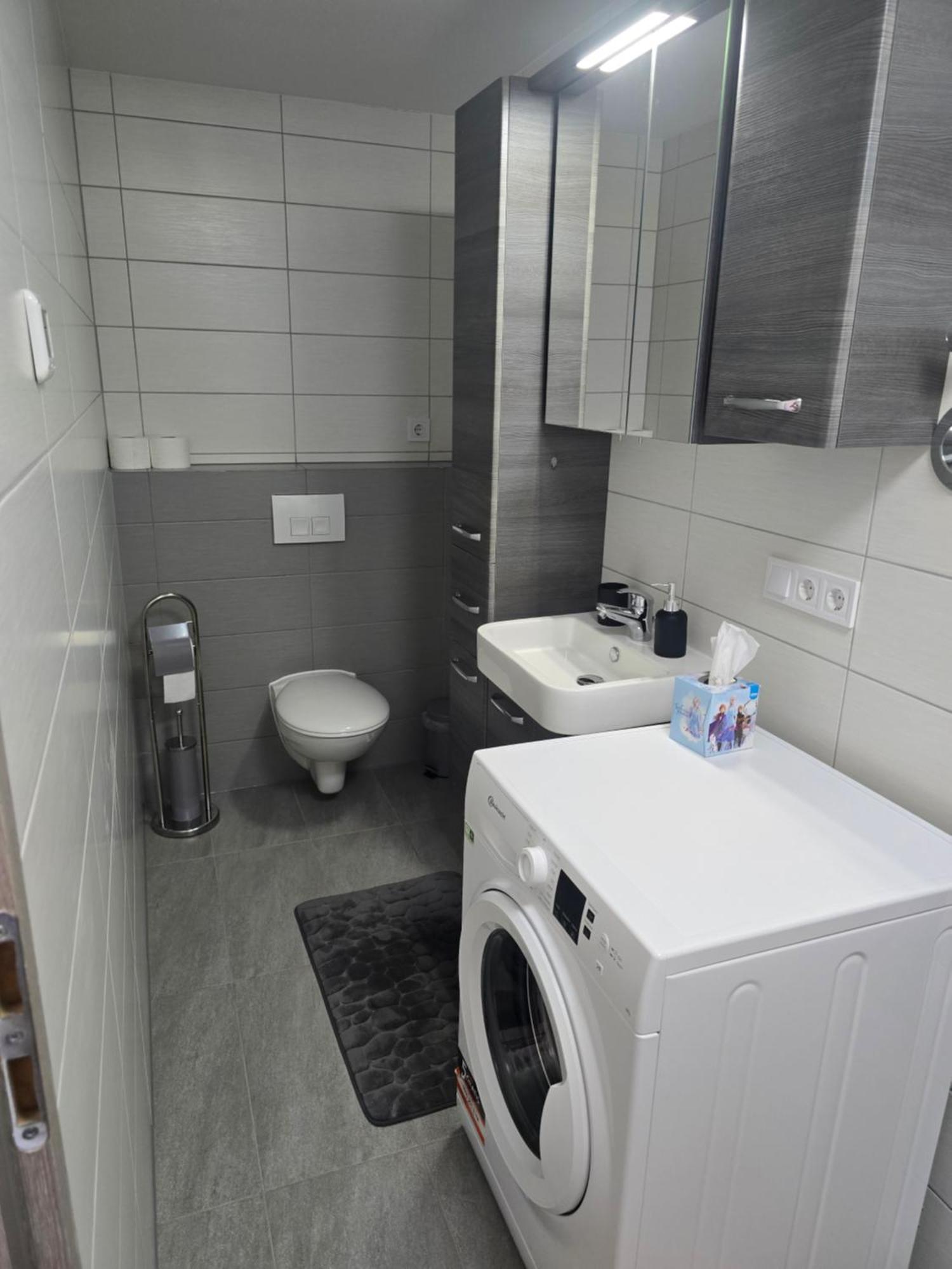Klimatisierte Moderne Einzimmerwohnung In Mahlberg Zewnętrze zdjęcie